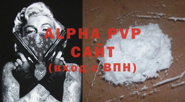 сатива Тольятти