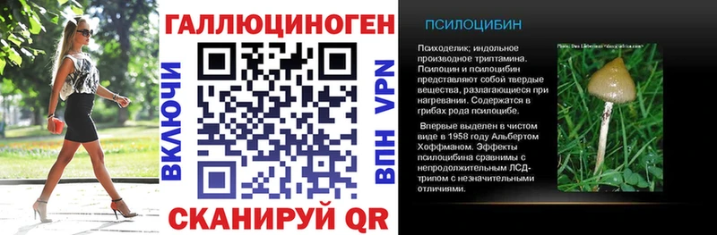 Псилоцибиновые грибы Magic Shrooms  kraken tor  Лосино-Петровский  это Telegram  закладка 