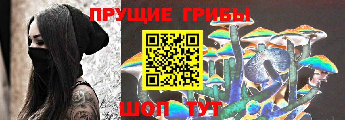 Лосино-Петровский  Псилоцибиновые грибы Psilocybe  Вход с VPN 